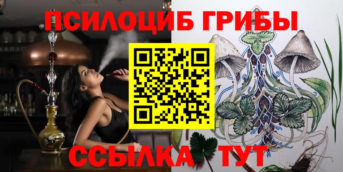 Галлюциногенные грибы Psilocybe  Вход с VPN  Елец 