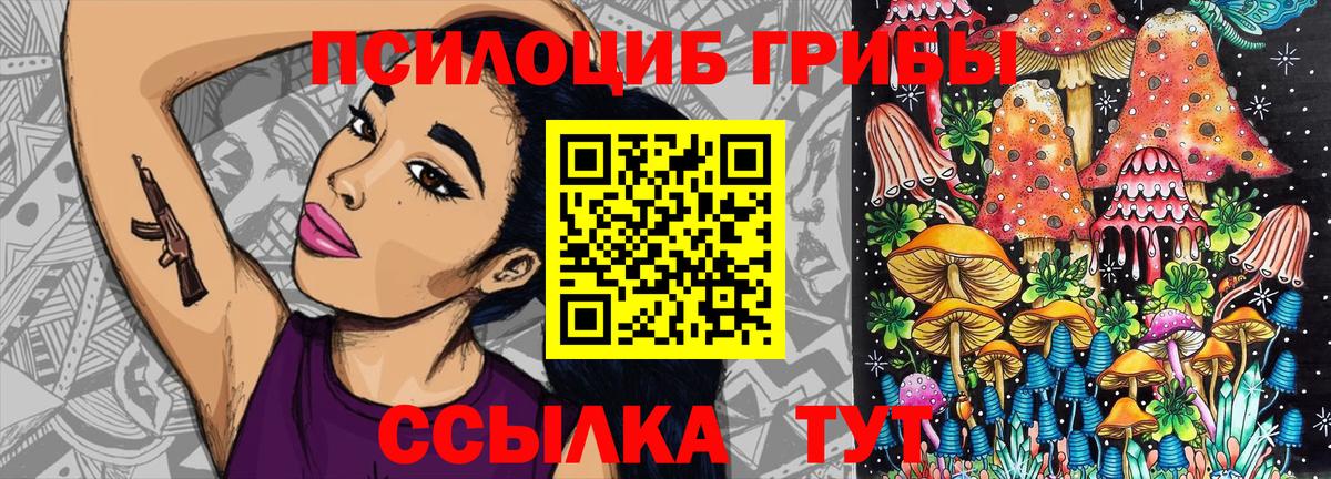 Псилоцибиновые грибы MAGIC MUSHROOMS Елец